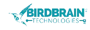 birdbrain